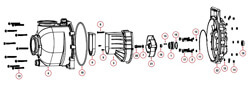 Banjo 12719A Body O-Ring for 3" Poly Manifold Pumps Banjo 12719A Body O-Ring for 3" Poly Manifold Pumps